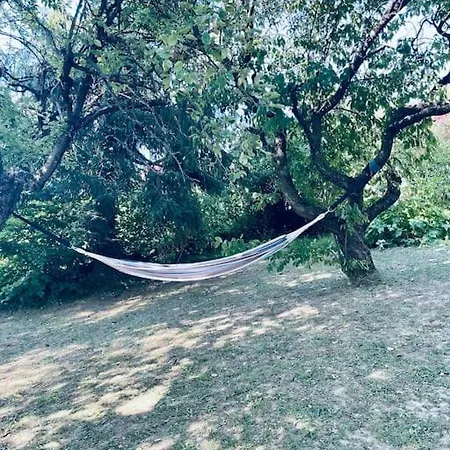 Apartmán Freiblick 3 Bad Glbg Mit Terrasse 3 *