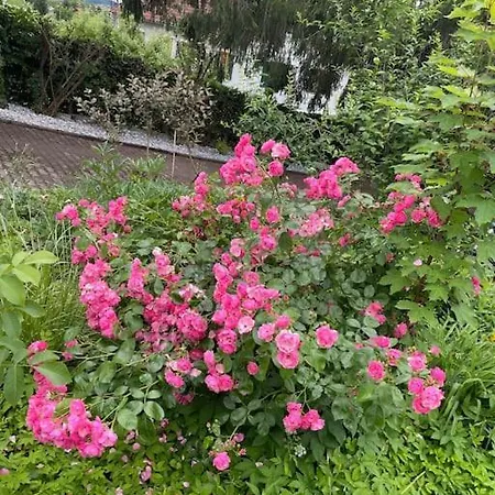 Freiblick 3 Bad Glbg Mit Terrasse 3