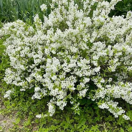 Διαμέρισμα Freiblick 3 Bad Glbg Mit Terrasse 3 *