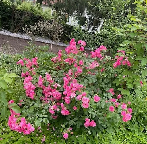 Freiblick 3 Bad Glbg Mit Terrasse 3