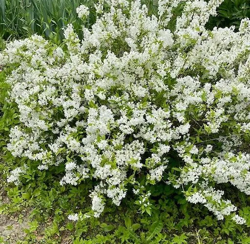 Apartment Freiblick 3 Bad Glbg Mit Terrasse 3 *