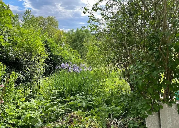 Freiblick 3 Bad Glbg Mit Terrasse 3 Bad Gleichenberg